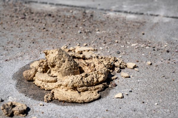 Driveway Slab Leveling in Federal Way